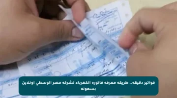 فواتير دقيقة.. طريقة معرفة فاتورة الكهرباء لشركة مصر الوسطى أونلاين بسهولة